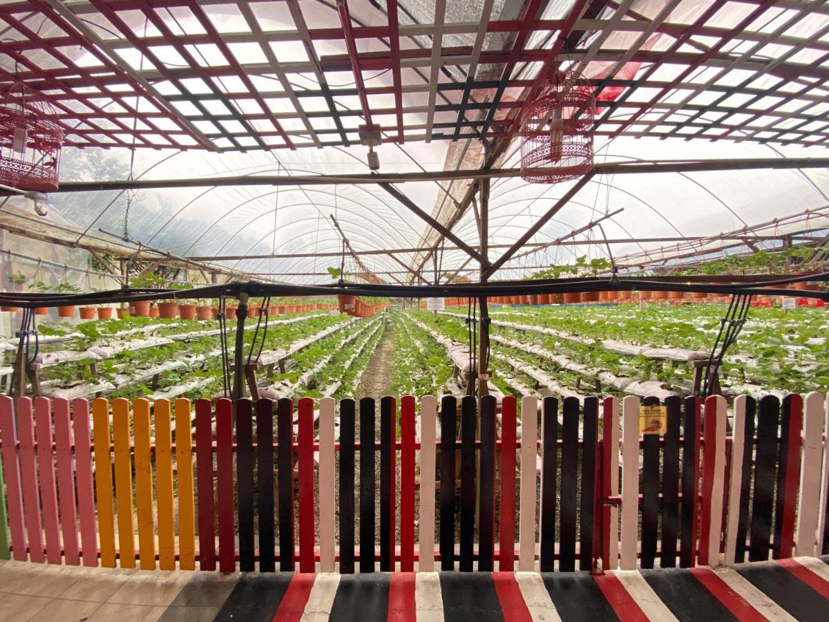 טאנה ראטה Aiza Homestay Opposite Abang Strawberry Taman Sedia מראה חיצוני תמונה