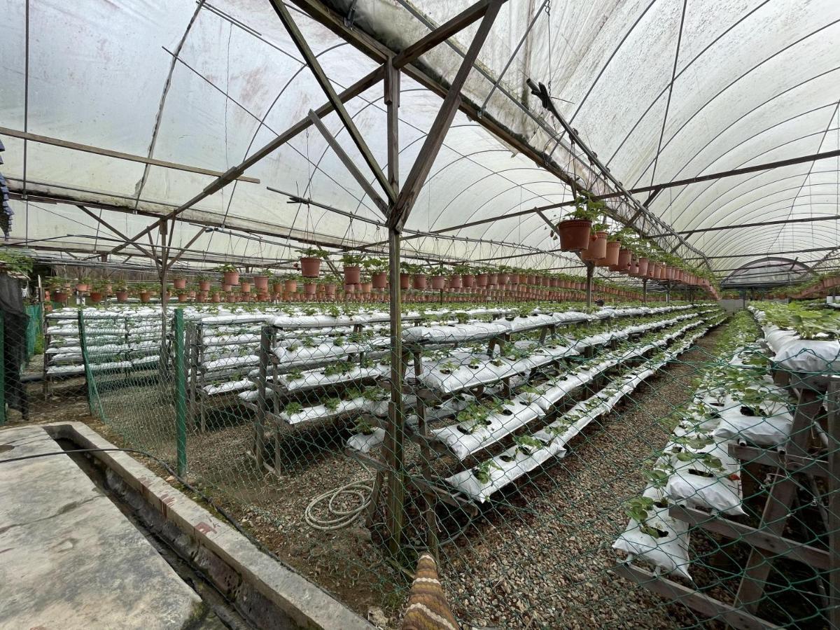 טאנה ראטה Aiza Homestay Opposite Abang Strawberry Taman Sedia מראה חיצוני תמונה